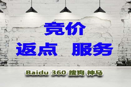 实战解析：SEM推广代运营案例